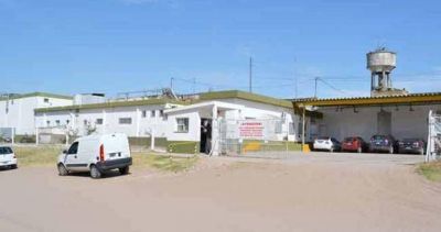 Se vienen otros 40 despidos en el Frigor�fico Acha