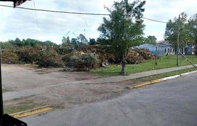 Reclaman la urgente erradicaci�n de un basural en la delegaci�n Gonnet