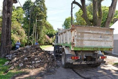 El Municipio removi� un �rbol que pon�a en peligro a una vivienda