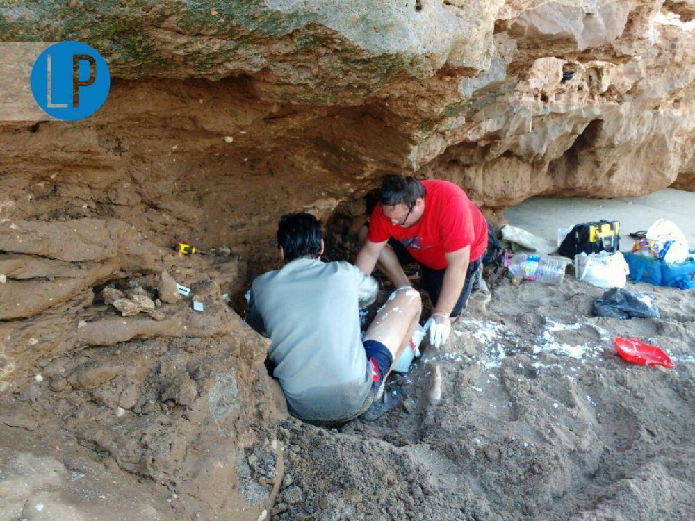 [#LaEscondida] Mega hallazgo paleontolgico en el sur de la ciudad