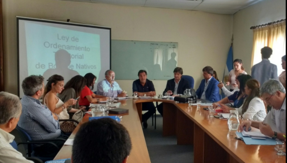Ruralistas apuran la discusi�n por los bosques