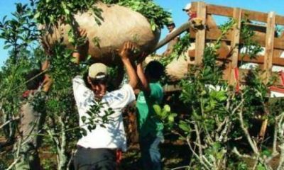#Yerbatazo: en medio del conflicto, el INYM pidi� no plantar yerba durante los pr�ximos dos a�os
