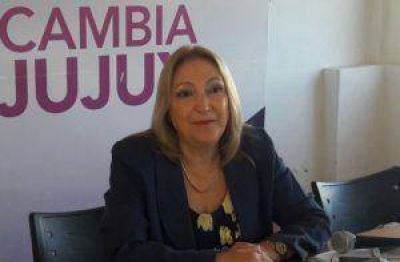 �Necesitamos saber qui�n perjudic� a Jujuy, hablamos de miles de millones de pesos�