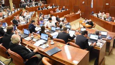 Diputados aprob� el aporte provincial de $40 M para que no suba tanto la luz