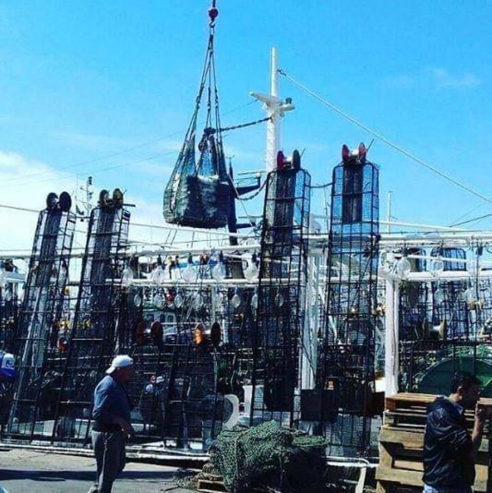 Paritaria de estibadores perfora el techo de Vidal