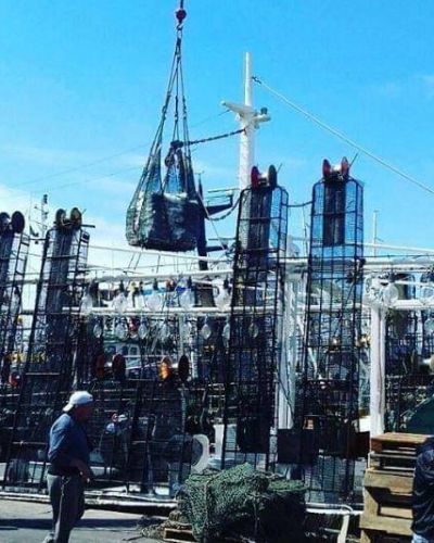 Paritaria de estibadores perfora el techo de Vidal
