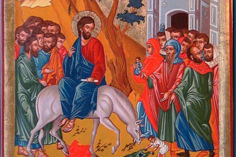 VIII Domingo ordinario � La providencia de Dios