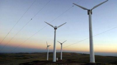 Aerogeneradores no habr�an sido mantenidos desde su instalaci�n