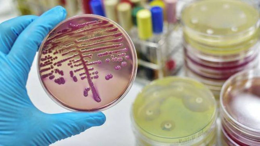 La OMS public una lista de bacterias resistentes a los antibiticos