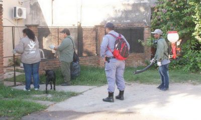 En 2017, Formosa notific� a Naci�n 19 casos positivos de dengue