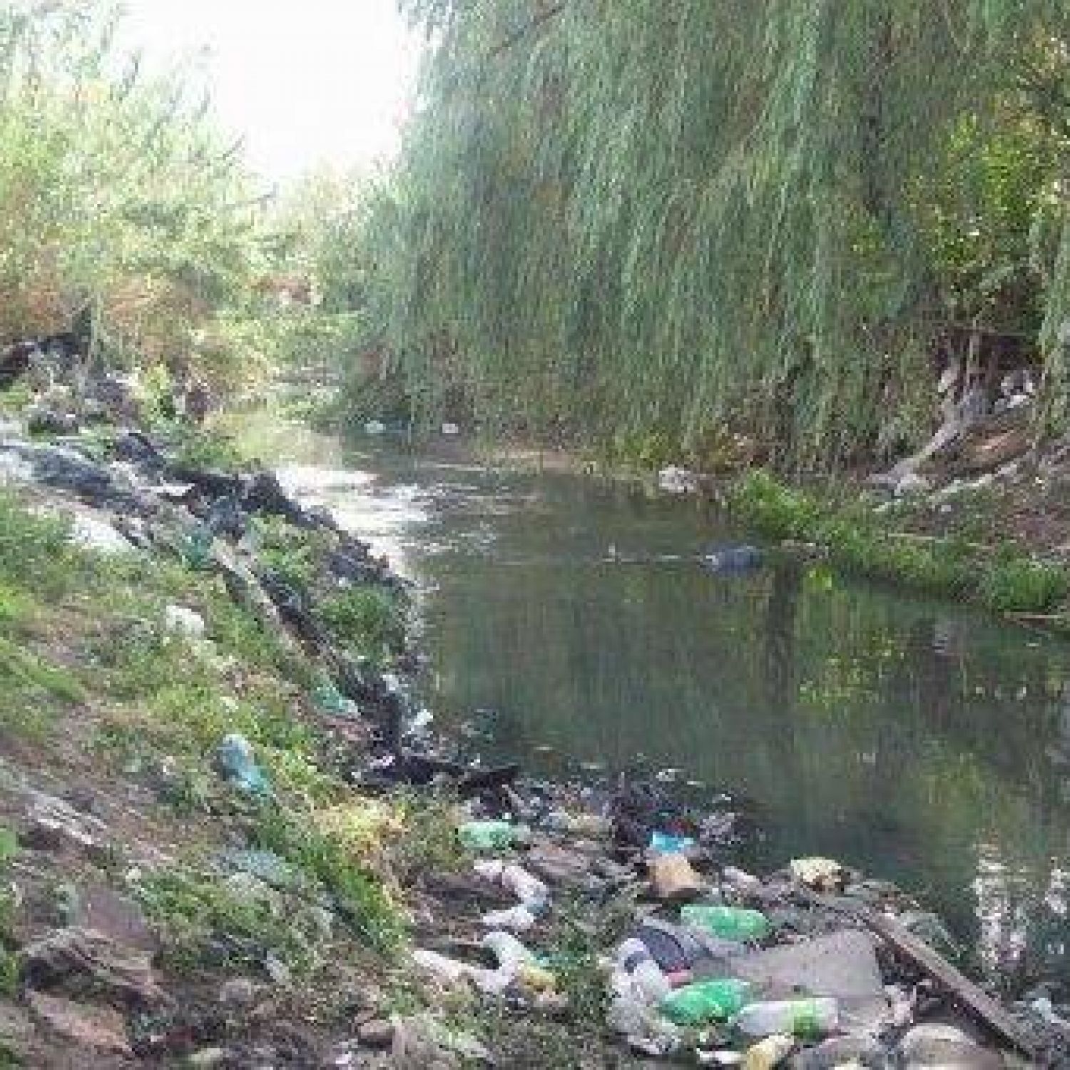 Es preocupante el grado de contaminación del arroyo Las Piedras
