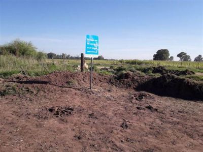 Se robaron los �rboles plantados donde antes hab�a un basural