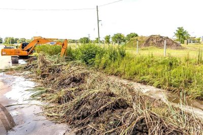 Evaluar�n cuales son los canales clandestinos 