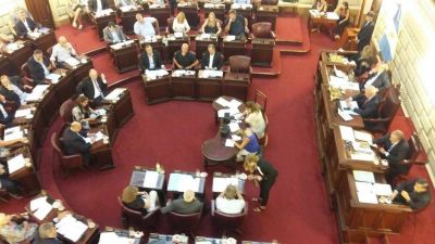 Diputados aprob el Fondo de Inversin y Desarrollo Productivo