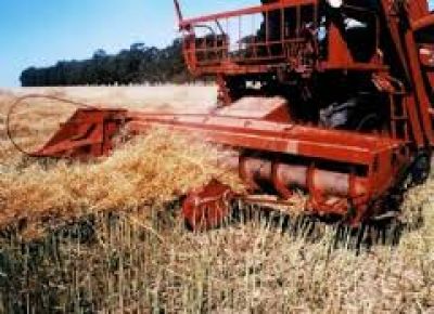 El campo generar� este a�o dos mil millones d�lares m�s en exportaciones que en 2016