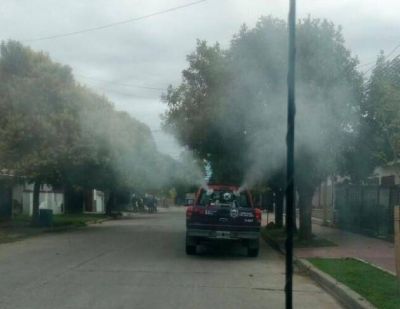 Salud confirm� un caso de dengue en Villa Mercedes