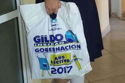 Insfran dej� inaugurado el ciclo lectivo 2017 en Formosa