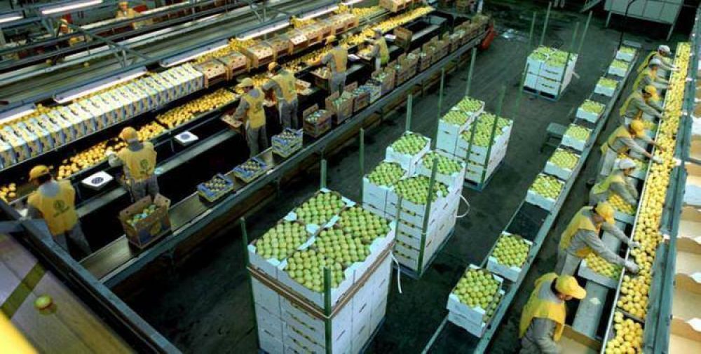 En 2016, las exportaciones tucumanas se incrementaron 14% respecto de 2015