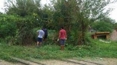 Ahora los vecinos tambi�n desmalezan los espacios p�blicos