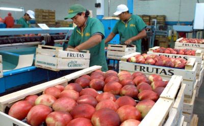 La crisis de Brasil amenaza el crecimiento de Mendoza