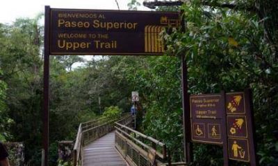 Desde el 9 de marzo vuelve a abrir el Parque Nacional Iguaz�