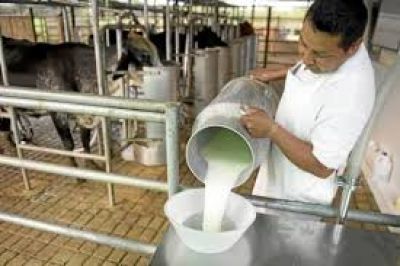 �La crisis lleg� a las industrias�, afirm� el Presidente de la C�mara de Productores Lecheros 