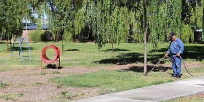 El Municipio capitalino busca placeros con curr�culum