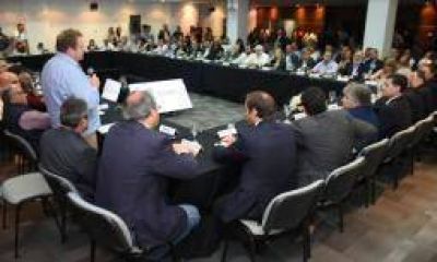 Sector oliv�cola pide auxilio financiero a Naci�n por la cosecha