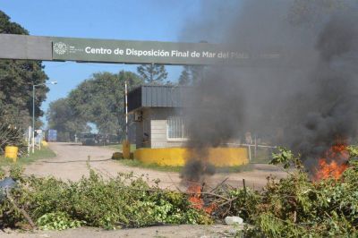 Por un conflicto, Mar del Plata sin recolecci�n de residuos