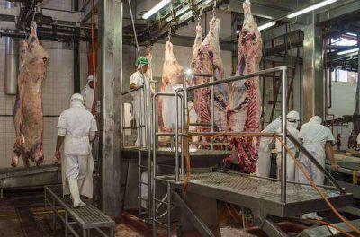 Abri� Azul Natural Beef S.A.