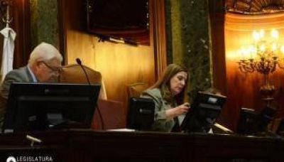El Pro va por la aprobaci�n del Paseo del Bajo