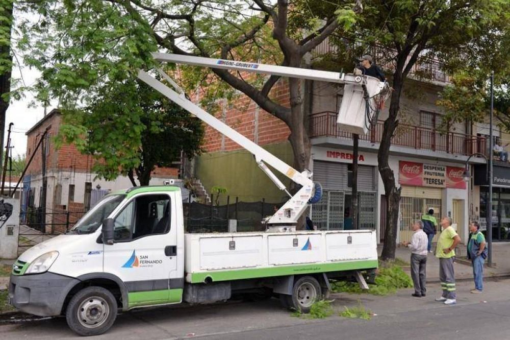 Contin�an los trabajos de poda correctiva en Virreyes Oeste