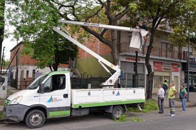 Contin�an los trabajos de poda correctiva en Virreyes Oeste