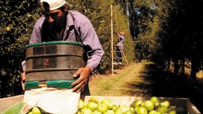 Fuerte descenso en la producci�n y crisis en el sector frut�cola