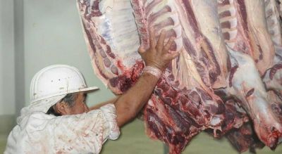 La exportaci�n de carne perdi� peso y empleos en C�rdoba