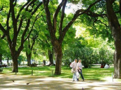 Proponen m�s espacios verdes en la Ciudad