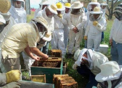 San Luis pidi� presencia permanente del Senasa