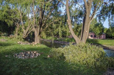 �ATROPELLO CONTRA EL MEDIO AMBIENTE�