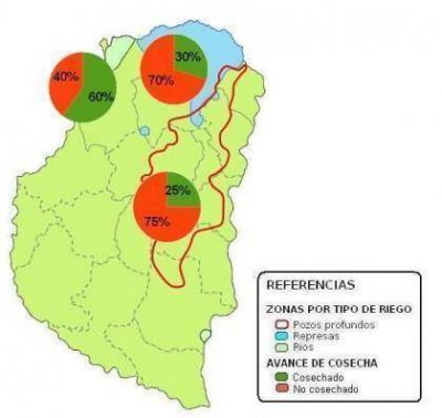 Cosechan el 30 por ciento del arroz sembrado en la provincia 