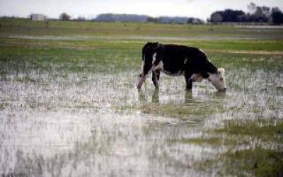 Bol�var fue declarado en Emergencia y/o desastre agropecuario
