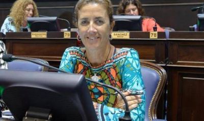 Dieron media sanci�n a la ley de Software