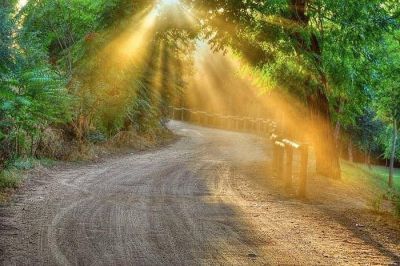 Mons. Lozano: �Con la fe la vida tiene rumbo, horizonte, sentido�