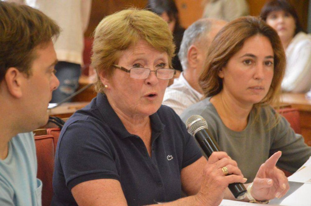 Cruces, pedido de renuncia y acusaciones en la comisi�n de Educaci�n