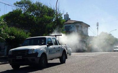 Este mi�rcoles fumigar�n contra moscas y mosquitos