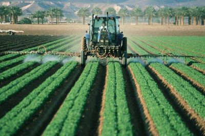 El Santo Padre alienta una producci�n agr�cola que llegue a todos