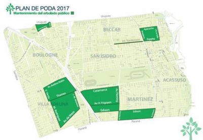 San Isidro lanza campa�a de poda sustentable