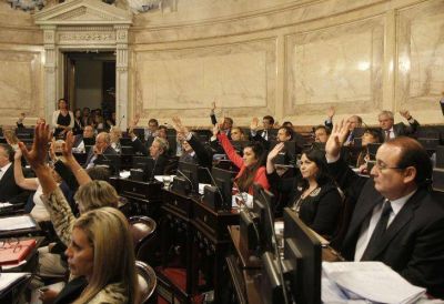 Con apoyo un�nime, el Senado convirti� en ley el cannabis medicinal