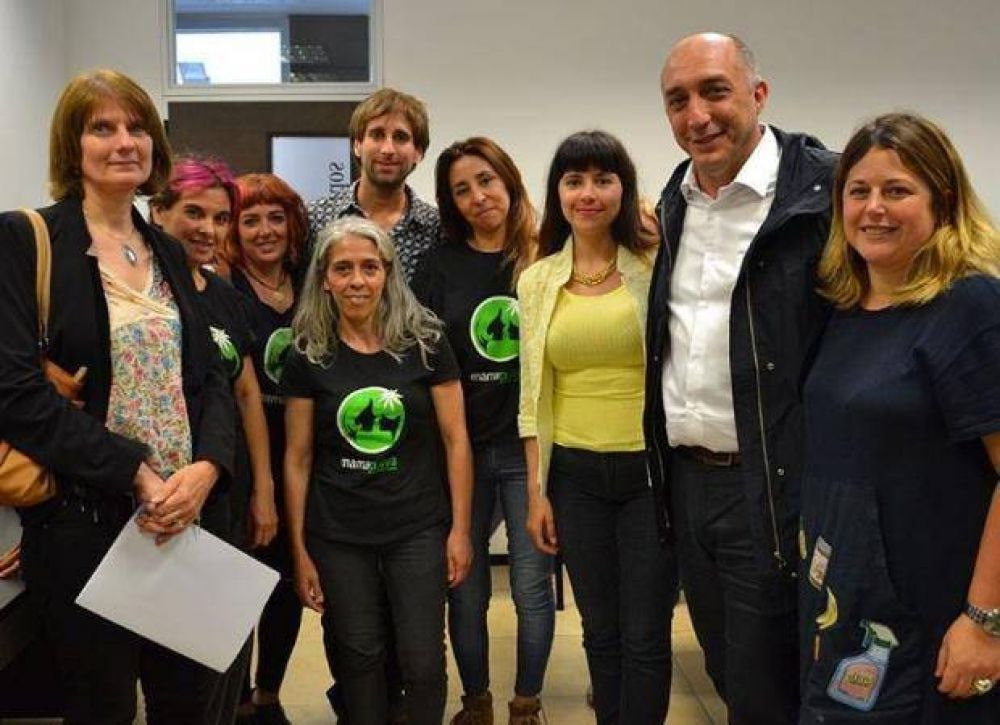 Convocar�n a ONGs que promuevan la utilizaci�n medicinal del cannabis