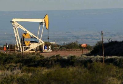 El Gobierno realizar� 120 inspecciones a yacimientos