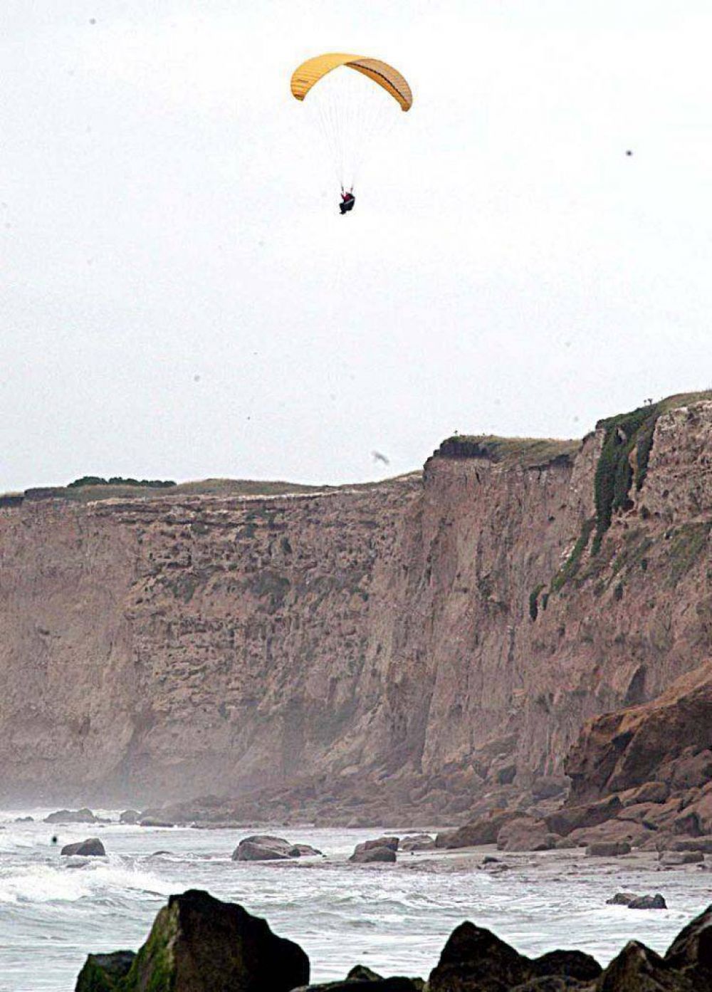 Ya es decreto la protecci�n del patrimonio paleontol�gico local